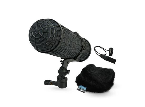 Radius Mini-ALTO 250, RAD-2 Kit with 3-Pin XLR Cable 