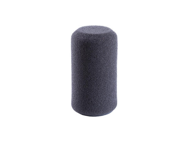 Schoeps B 1 D HOLLOW FOAM POPSCREEN FOR 20 MM 